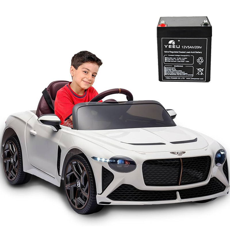 12V5Ah For Kids Toy Car